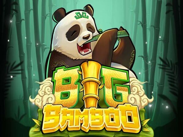 ph646 casino login